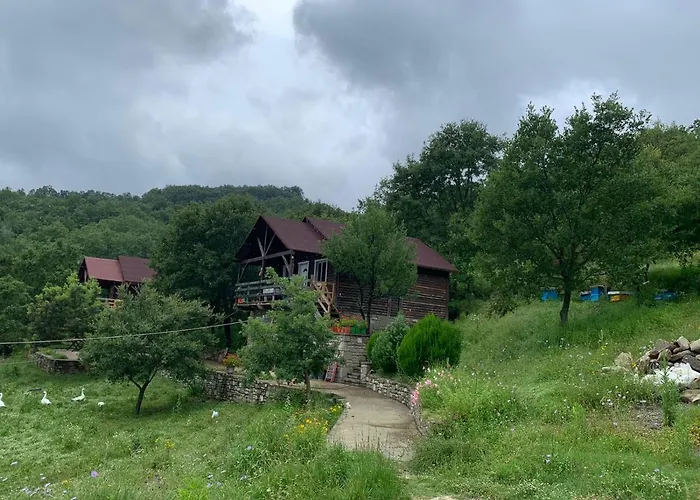 Origjina Farm * Përmet
